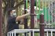 1120125養工新聞照片-九如公園獼猴遊戲籠，彷彿山林堡壘10.jpg