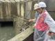 視察正道公園分洪箱涵(1120904-8)