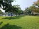 公園氣氛散發著優雅的氣場。_0