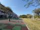 4_小公園大生態　梓官牛路溝公園兇狠圓軸蟹出沒