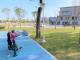 1130225自強公園-2_0