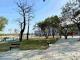 1130225自強公園-1_0