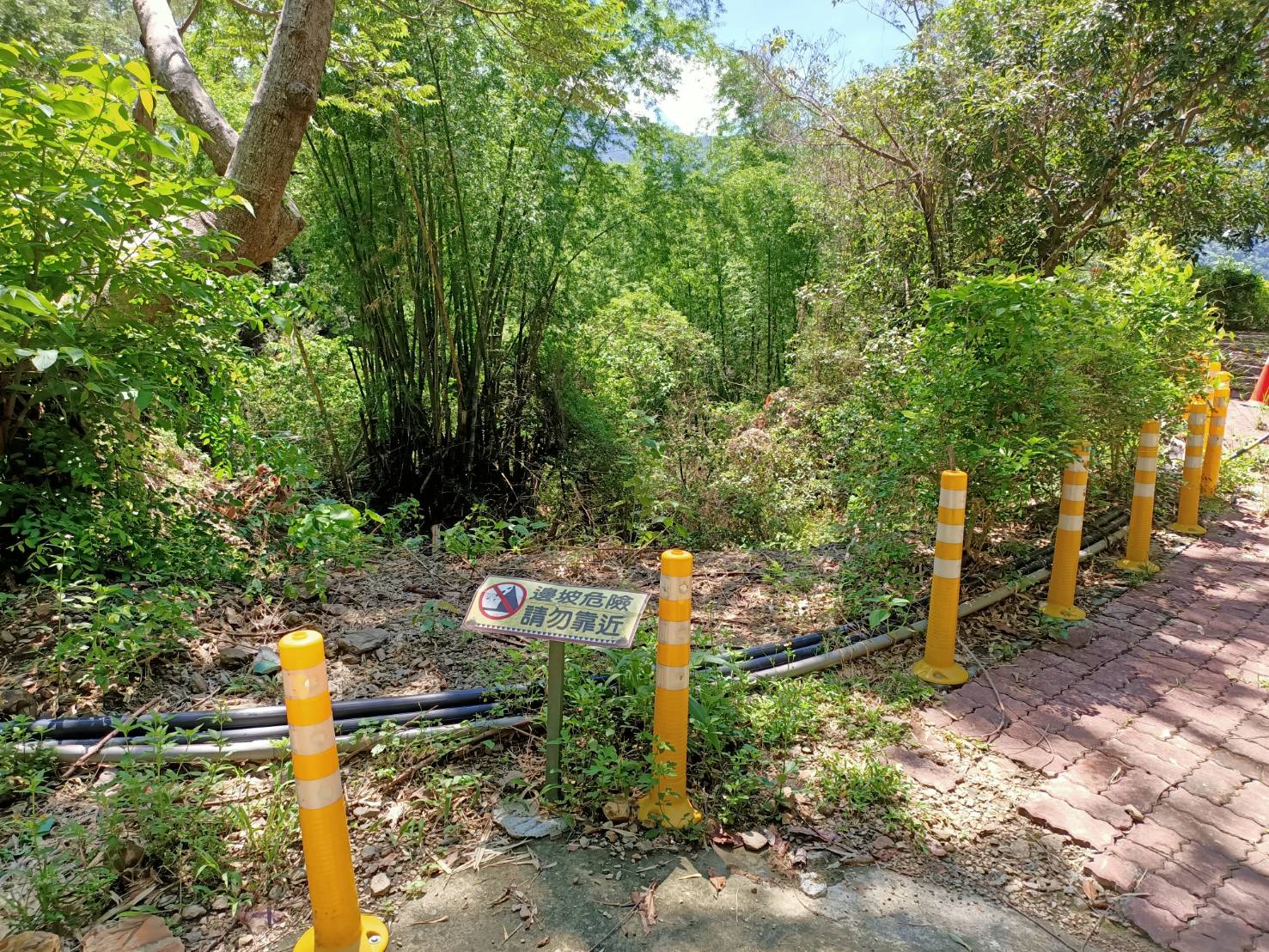 茂林野溪整治落實生態檢核 保護紫斑蝶並兼顧部落通行安全