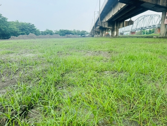 大樹舊鐵橋溼地公園災後清理 迅速恢復園區休憩場域