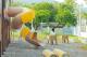 [圖八] 同盟公園內設有遊樂設施、體健設備及戲水區。.jpg