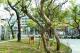 [圖7] 改造工程順利完工後，四維香花公園以全新面貌迎接市民。.jpg