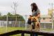 [圖4] 新設的寵物活動區依犬隻體型分為大小犬活動空間。.jpg