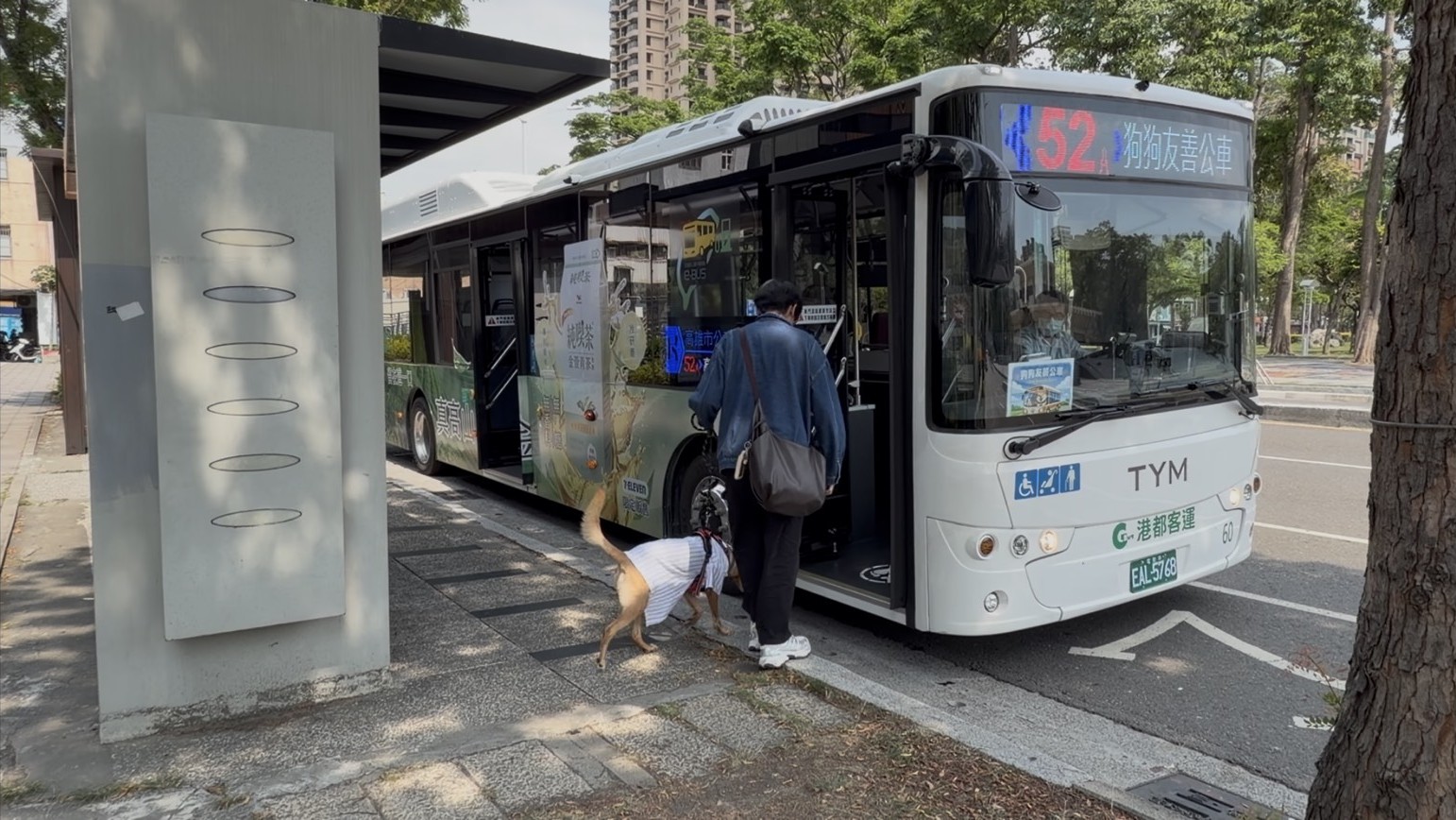 Kaohsiung Expands Dog-Friendly Services: Trial Weekend Dog-Friendly Bus Ser