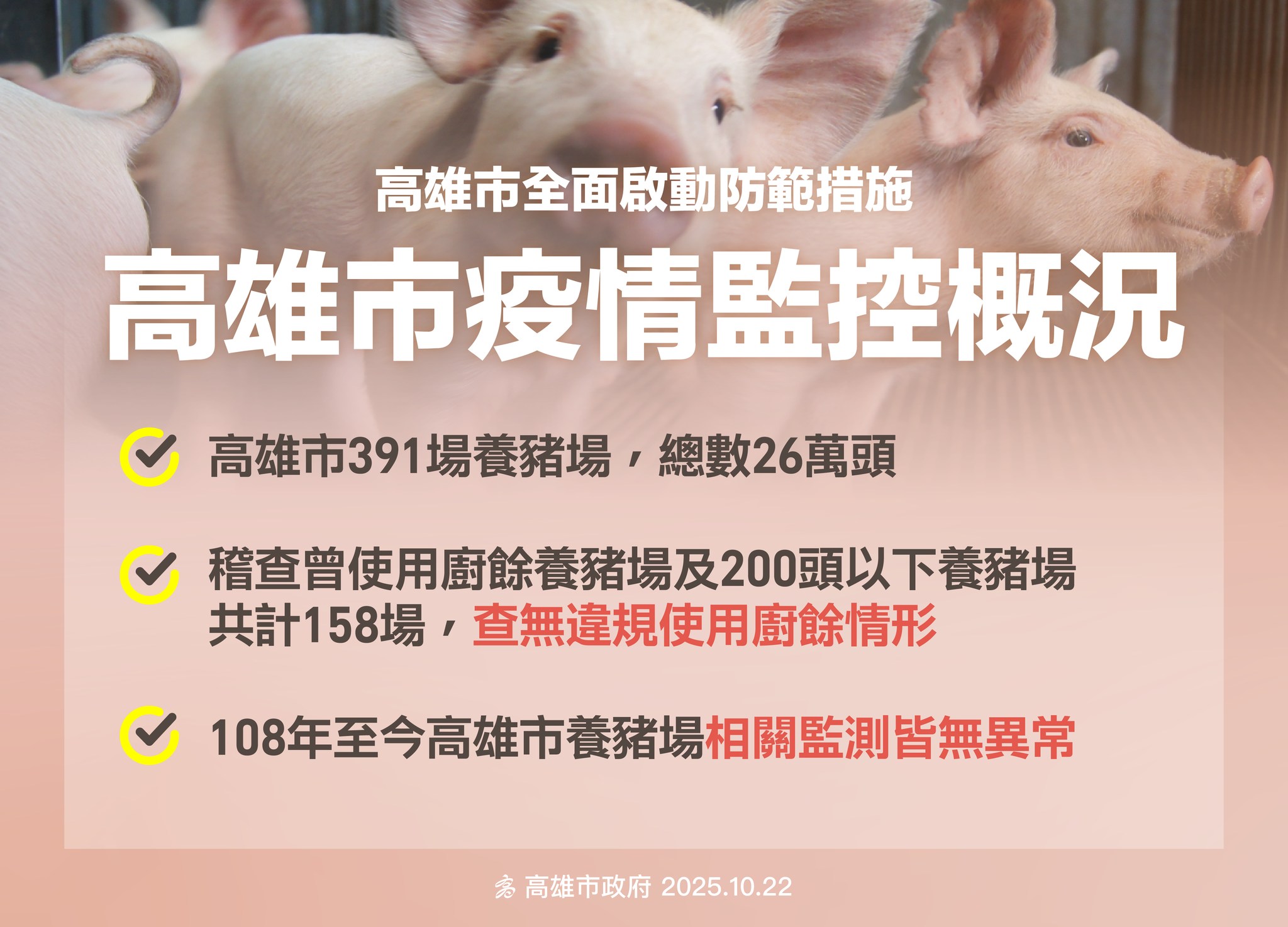 高雄全面防堵非洲豬瘟入侵！齊心防疫 守護豬隻